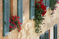 Alison Shutters, Tuscany, Italy