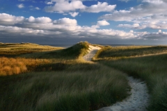 Aquinnah, Martha's Vineyard, MA