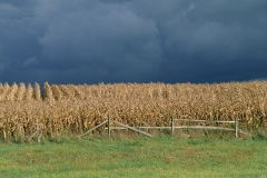 Medina, Ohio