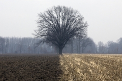 Farmlands, Ohio