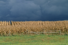 Medina, Ohio