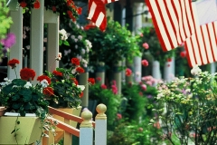 Oak Bluffs, Martha's Vineyard, MA